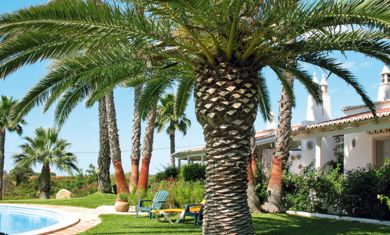 Reihenhaus Hausteil mit Pool Tavira