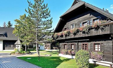 Ferienhaus Sonnleitn